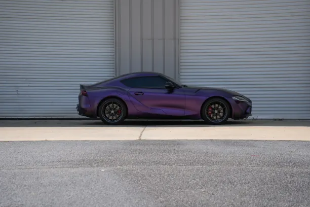 Casino Showreel Bingo Android/iOS Forrit